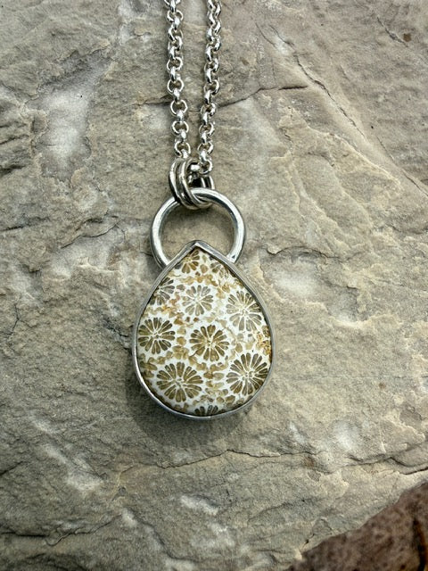 Fossilised Coral